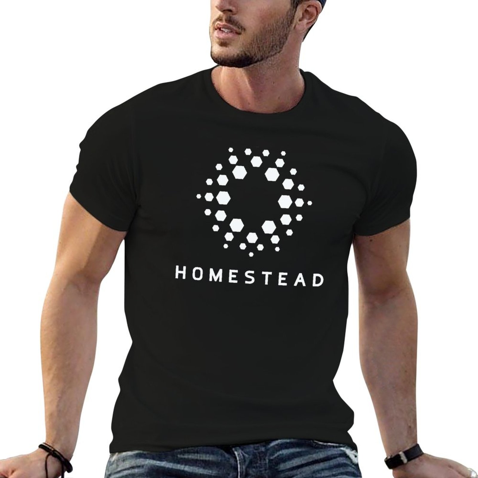 Homestead - Passengers - Camis - Homestead Lighting & Decor Oconomowoc reseña y precio